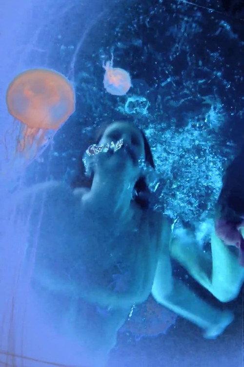 Stargazer 2010 official movie poster