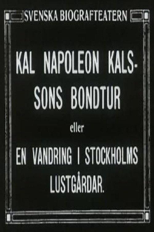 Kal Napoleon Kalsson's Stroke of Luck 1915 official movie poster