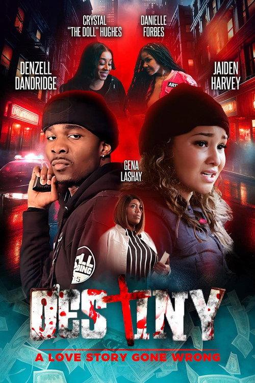Destiny: A Love Story Gone Wrong 2024 official movie poster