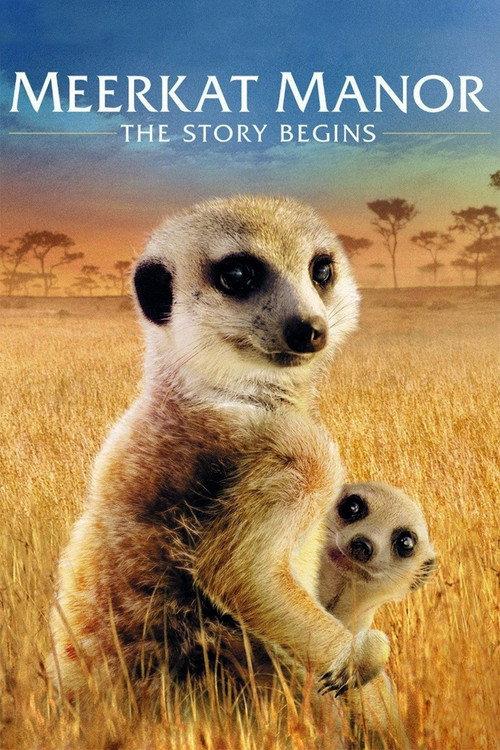 Meerkat Manor: The Story Begins 2008 official movie poster