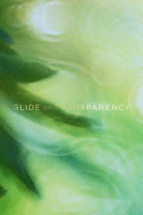 Glide of Transparency 2016 official movie poster