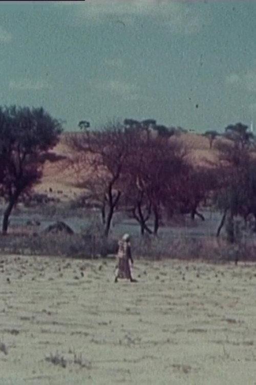 Niger-Norway 1975 official movie poster