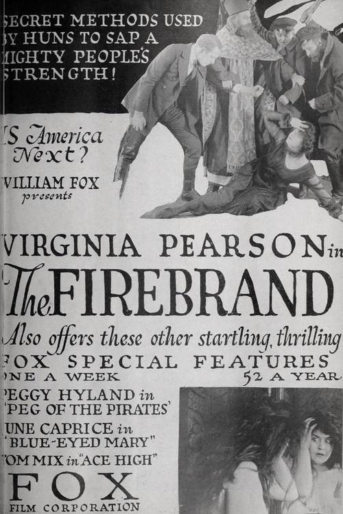 The Firebrand 1918 official movie poster