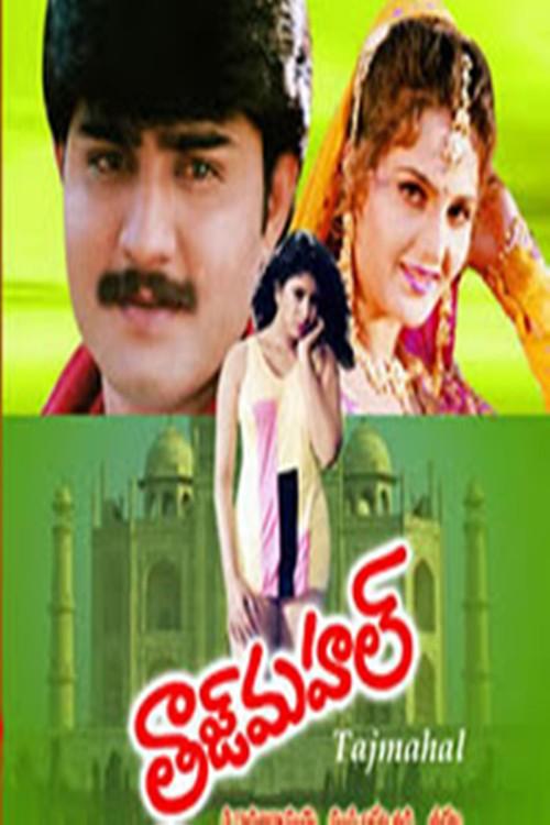 Taj Mahal 1995 official movie poster