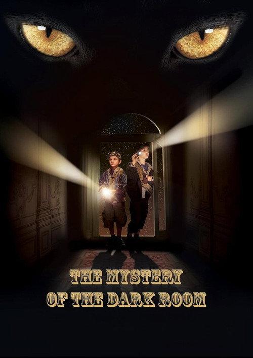 A Dark Room Mystery 2014 official movie poster