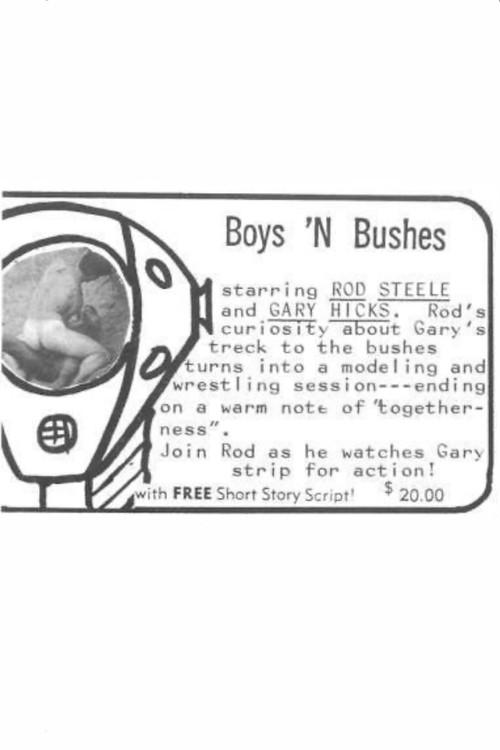Boy 'n Bushes 1969 official movie poster