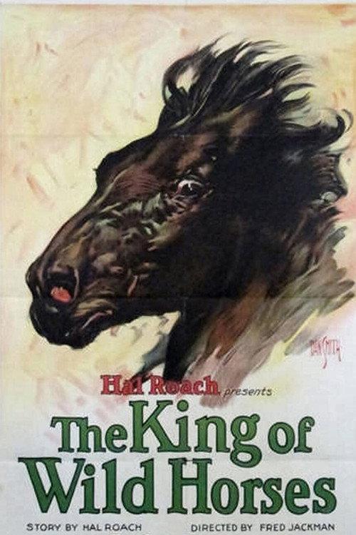 The King of the Wild Horses 1924 official movie poster