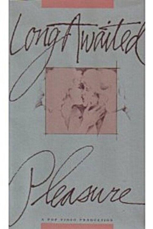 Long Awaited Pleasure 1989 official movie poster