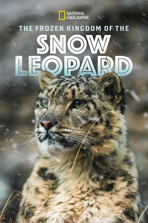The Frozen Kingdom of the Snow Leopard 2020 official movie poster