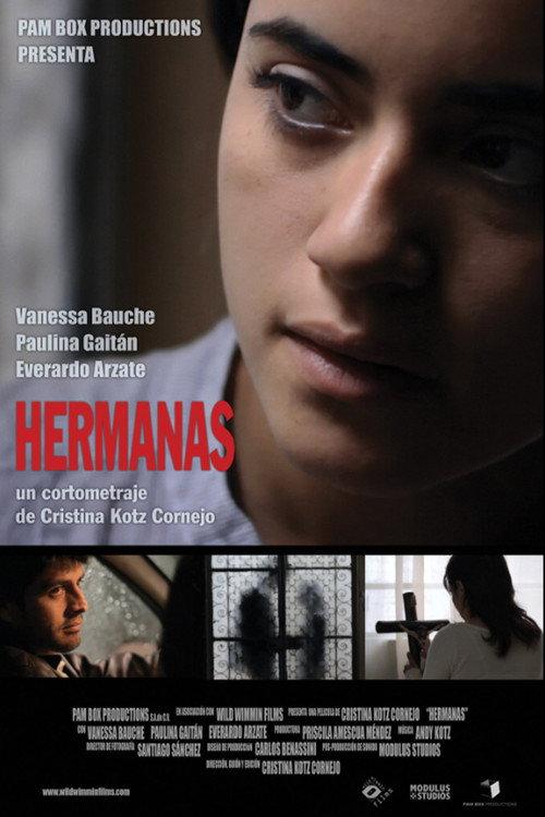 Hermanas 2013 official movie poster