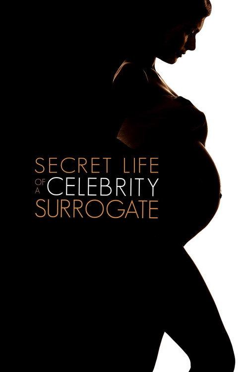 Secret Life of a Celebrity Surrogate 2020 official movie poster