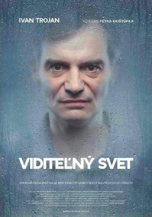 Visible World 2011 official movie poster
