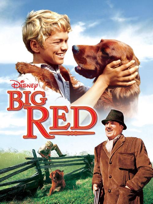 Big Red 1962 official movie poster