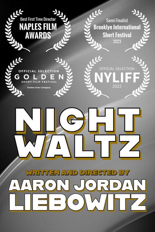 Night Waltz 2022 official movie poster