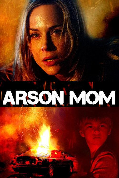 Sole Custody 2014 official movie poster