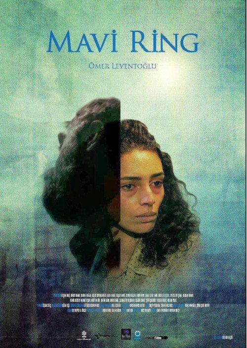 The Blue Van 2013 official movie poster