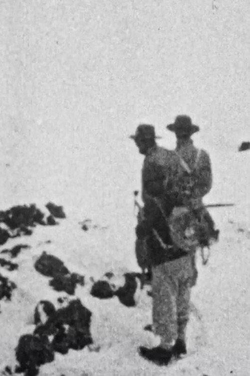 Climbing Mount Everest 1933 official movie poster