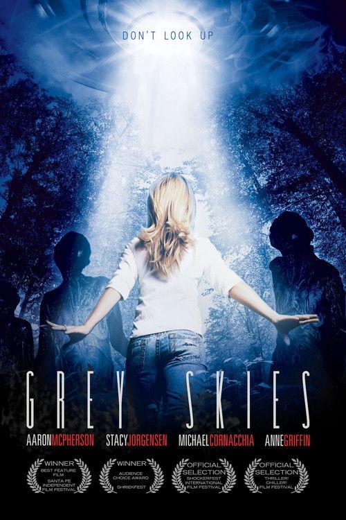 Grey Skies 2010 official movie poster
