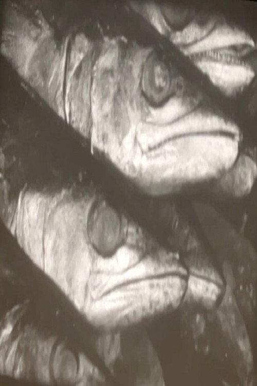Fish Market 1955 official movie poster