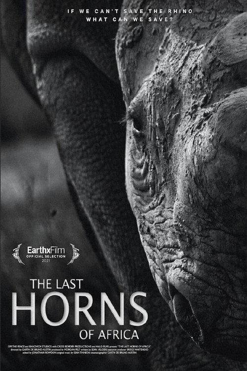 The Last Horns Of Africa 2021 official movie poster