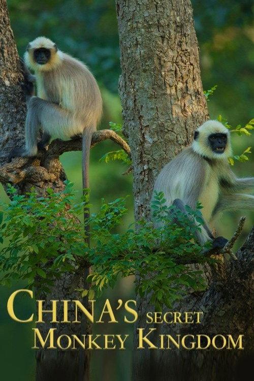 China's Secret Monkey Kingdom 2021 official movie poster
