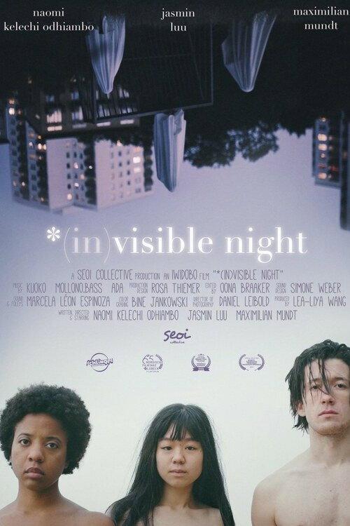 *(In)Visible Night 2023 official movie poster