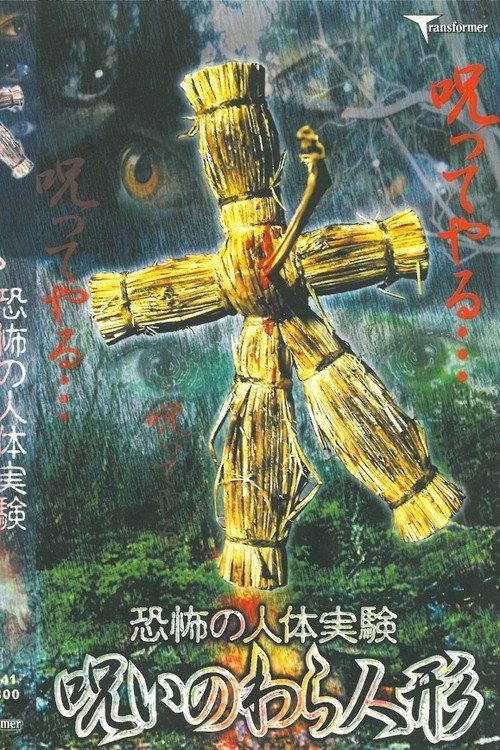 Terrifying Human Experiment: Cursed Straw Doll 2002 official movie poster