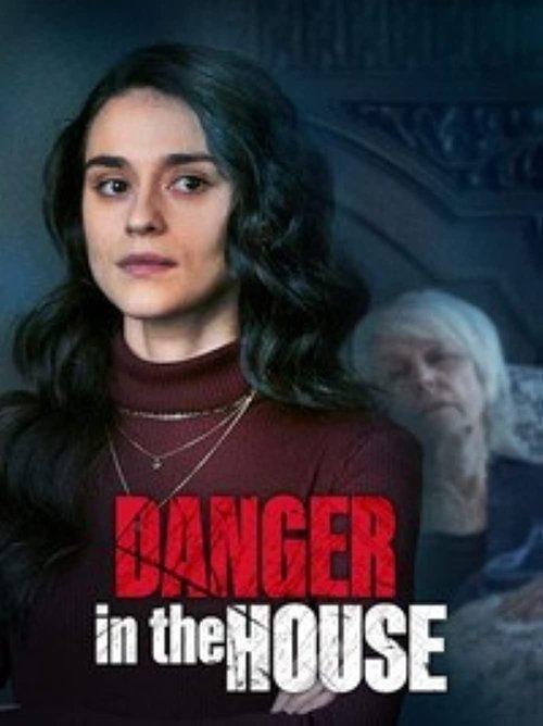 Danger in the House 2022 official movie poster