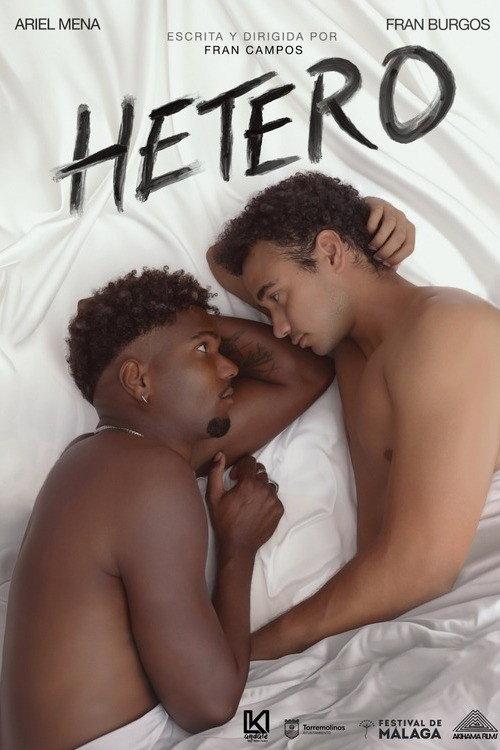Hetero 2026 official movie poster