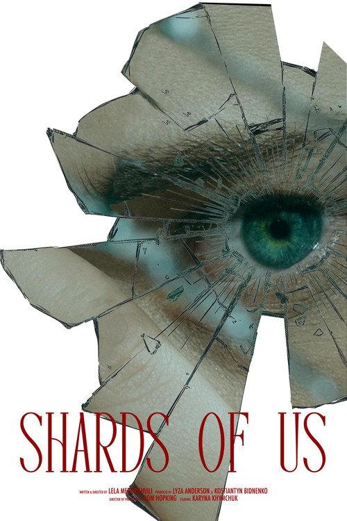Shards of Us 2025 official movie poster