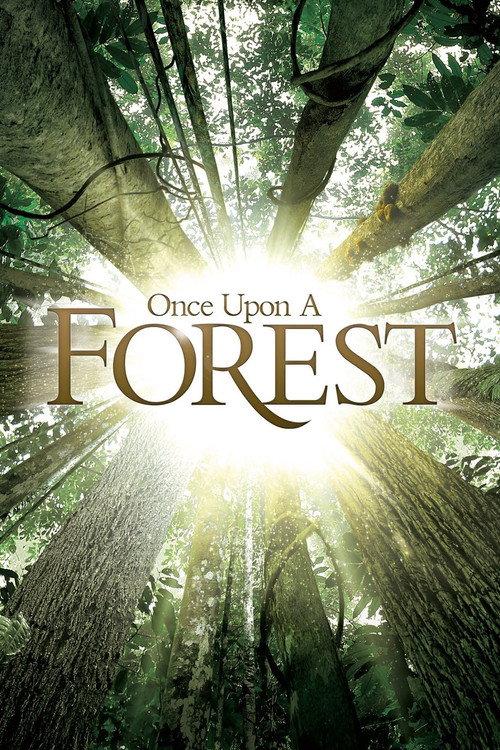 Once Upon a Forest 2013 official movie poster
