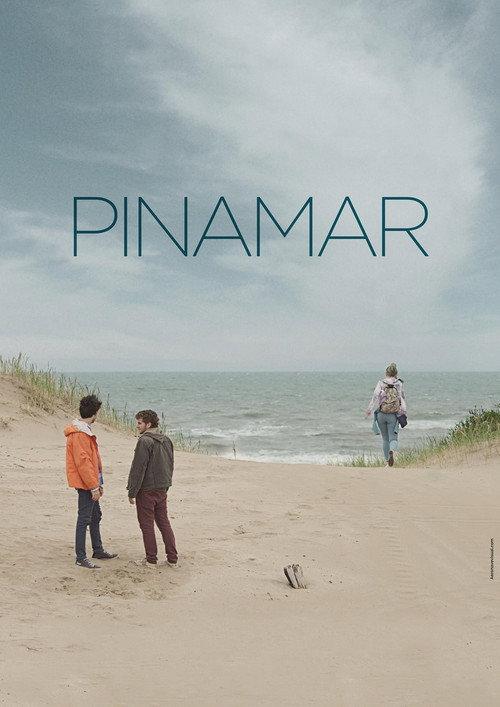 Pinamar 2016 official movie poster