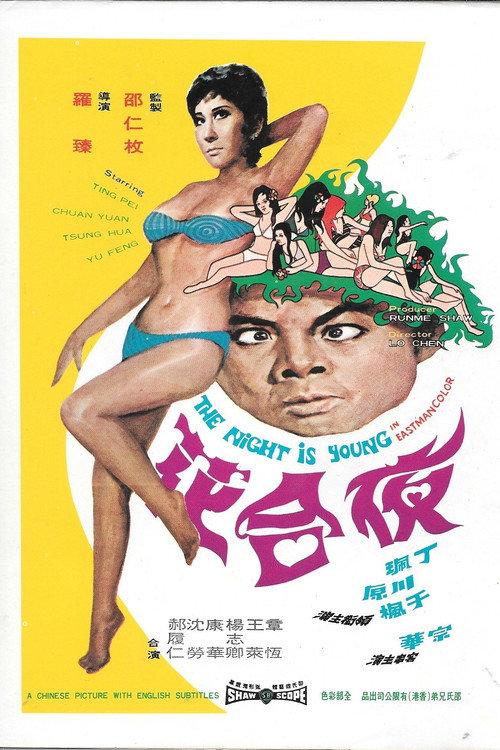 The Night Is Young 1971 official movie poster