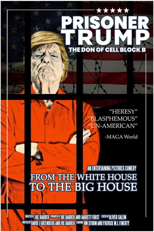 Prisoner Trump: The Don of Cell Block B 2024 official movie poster