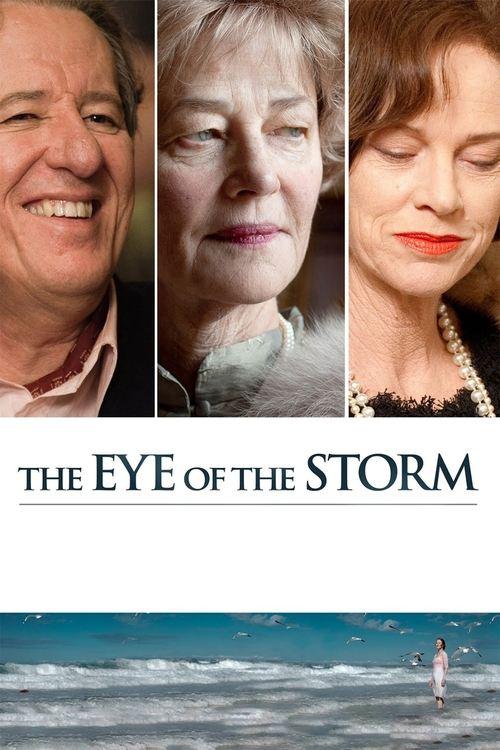 The Eye of the Storm 2011 official movie poster