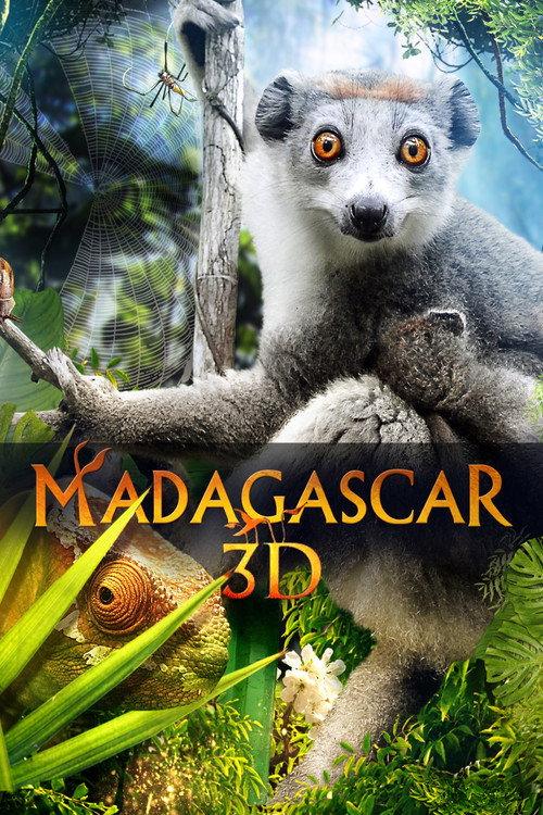 Madagascar 3D 2013 official movie poster