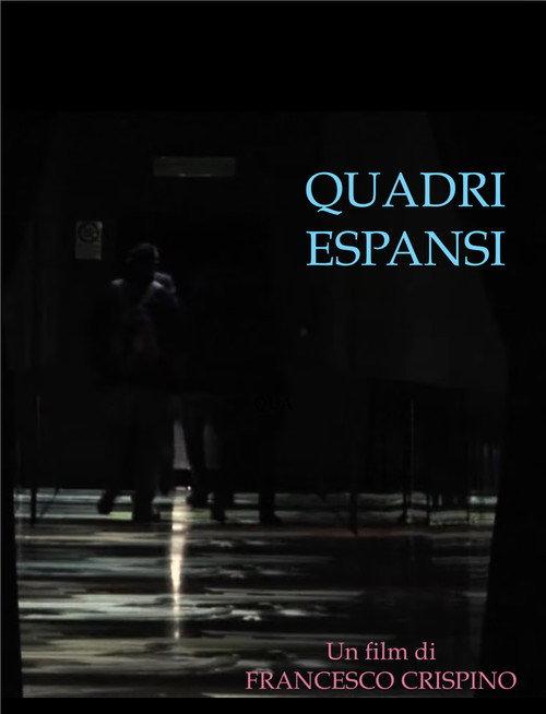 Quadri espansi 2013 official movie poster