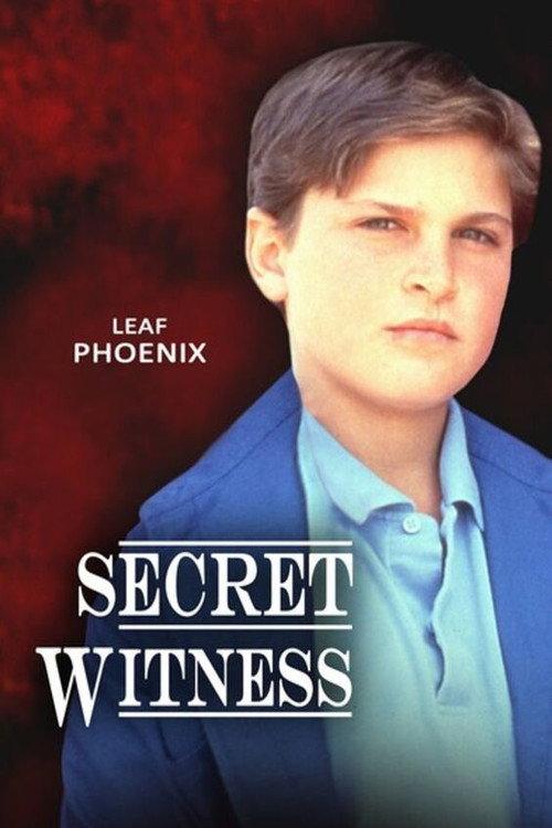 Secret Witness 1988 official movie poster