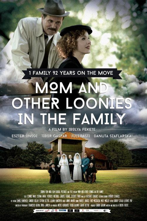 Mom and Other Loonies in the Family 2015 official movie poster