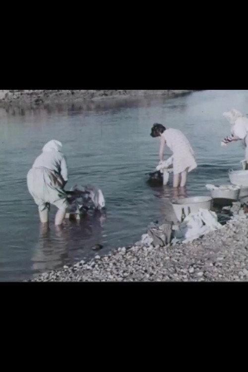 Un feudo d'acqua 1967 official movie poster