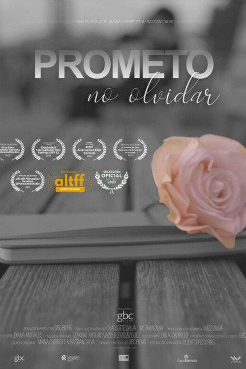 I Promise to Never Forget 2022 official movie poster