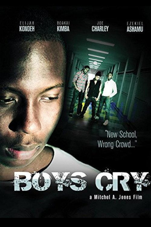 Boys Cry 2012 official movie poster