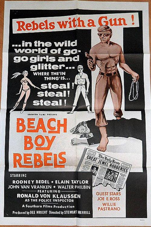 Beach Boy Rebels 1969 official movie poster