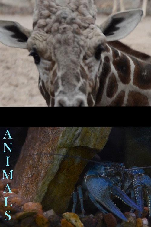 Animals 2027 official movie poster