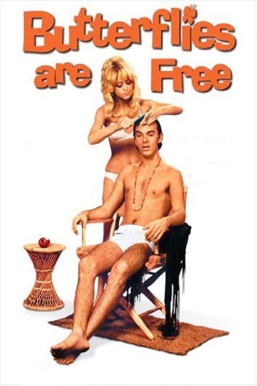 Butterflies Are Free 1972 official movie poster
