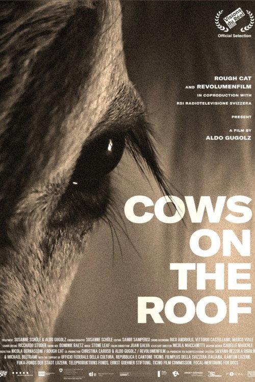 Cows on the Roof 2020 official movie poster