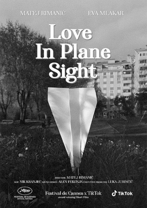 Love in Plane Sight 2022 official movie poster