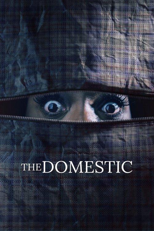 The Domestic 2022 official movie poster