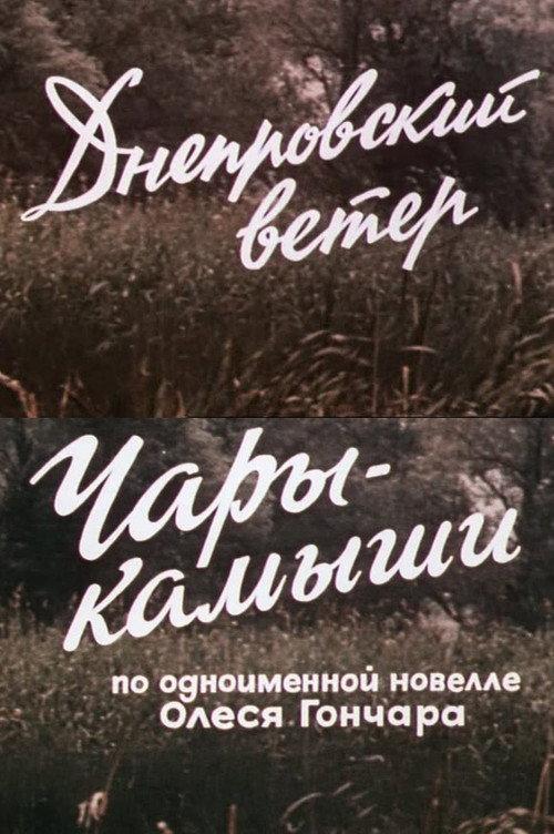 The Dnipro Wind. Enchanted Reeds 1976 official movie poster