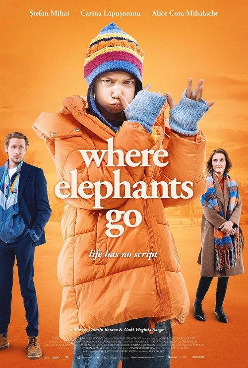 Where Elephants Go 2024 official movie poster